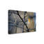 Art sur toile, Robin Bojan-109226357