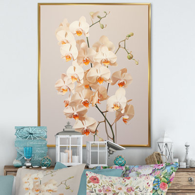 Orchidées beiges tranquillité V