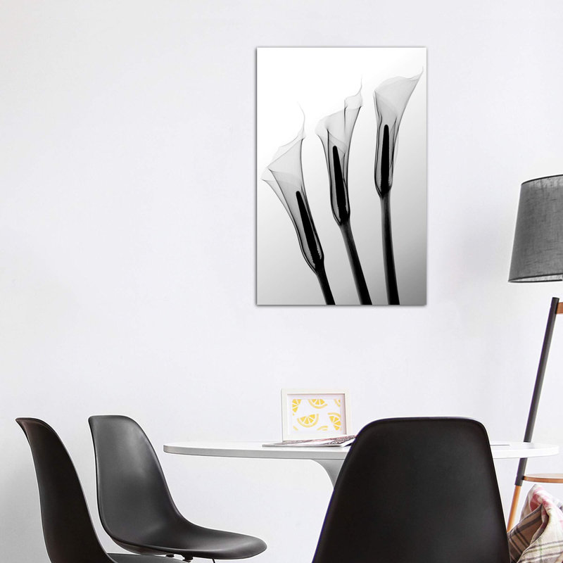 Callas I par Hong Pham - reproduction de photo, H 48 po x l 32 po x P 1,5 po, Toile tendue