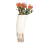 Ankole-Watusi Cow Horn Table Vase