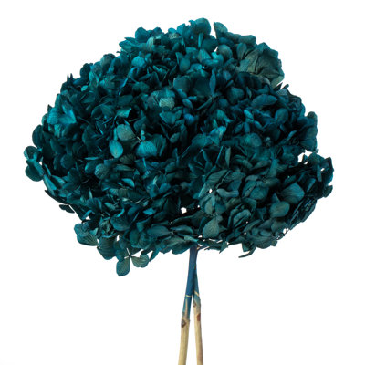 Natural Botanicals 15" Hydrangea with Multiple Branch Segments, Preserved