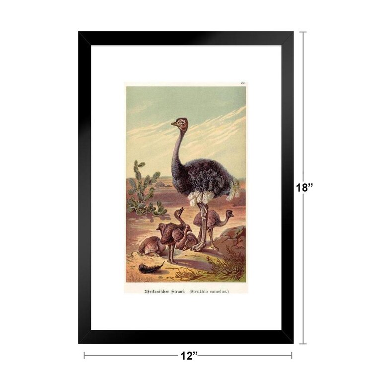 Cute animal babies turquoise Blue Emu ostrich baby bird Art Board Print  for Sale by Julieford