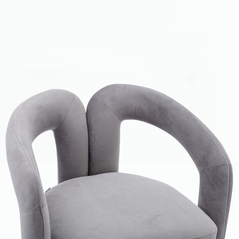Ensemble de 2 fauteuils pour salon, Gris