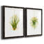 «Hanging Airplant II», ensemble de 2 impressions-446387506-487734114
