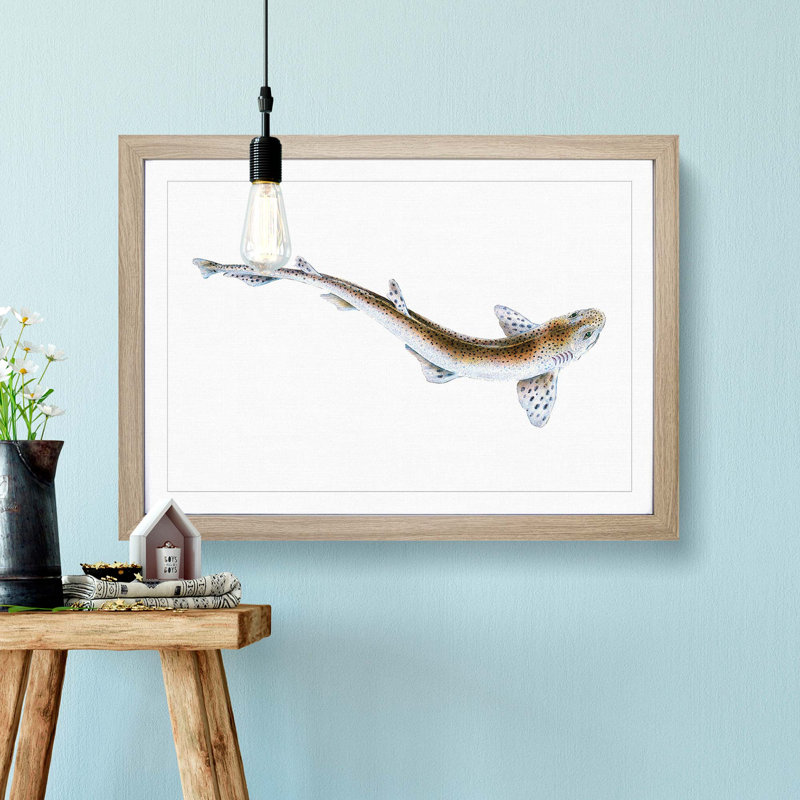 Lesser Spotted Dog-fish by Edward Donovan - Picture Frame Painting Print, 27cm H x 36cm W x 2cm D, Oak Framed