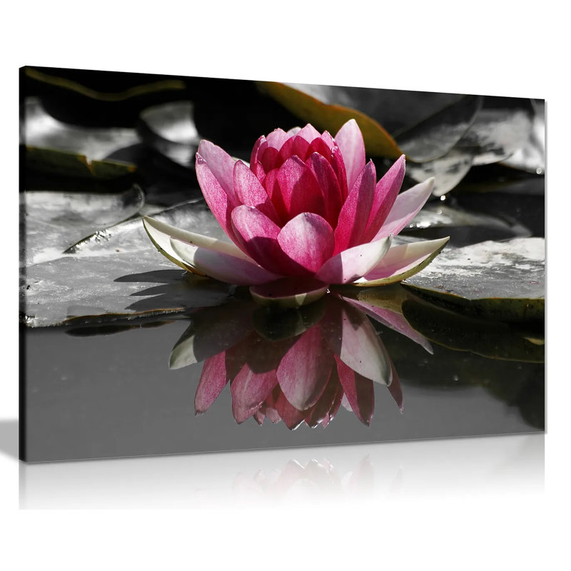 Water Lilly Floral - Wrapped Canvas Print, 20cm H x 31cm W