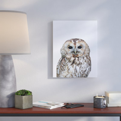 « hibou », reproduction de photo sur toile