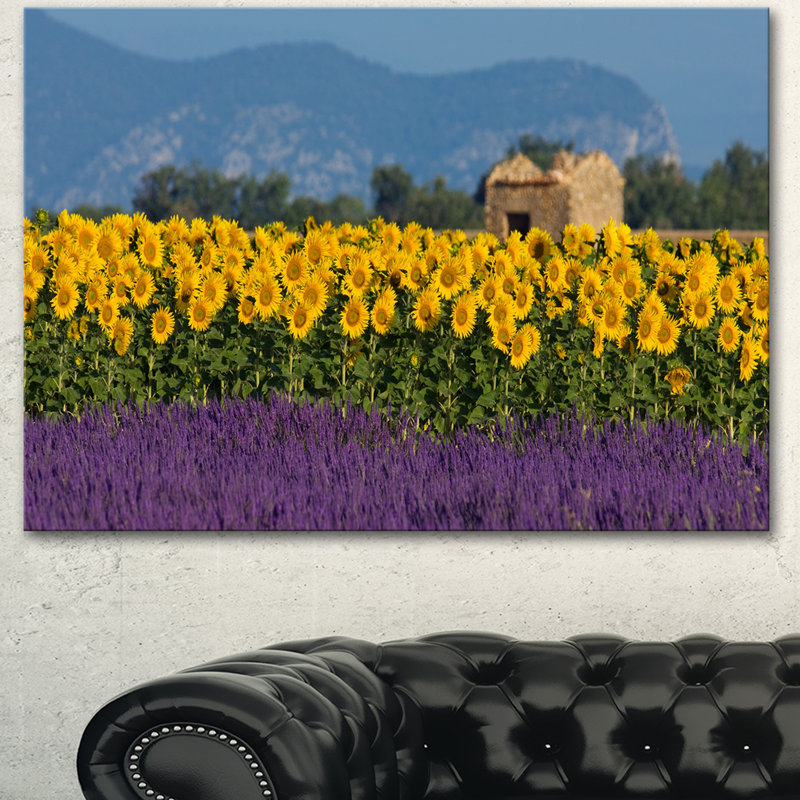 «Lavender and Sunflower in Provence», reproduction de photo sur toile tendue, H 8 po x l 12 po x P 1 po, Toile tendue