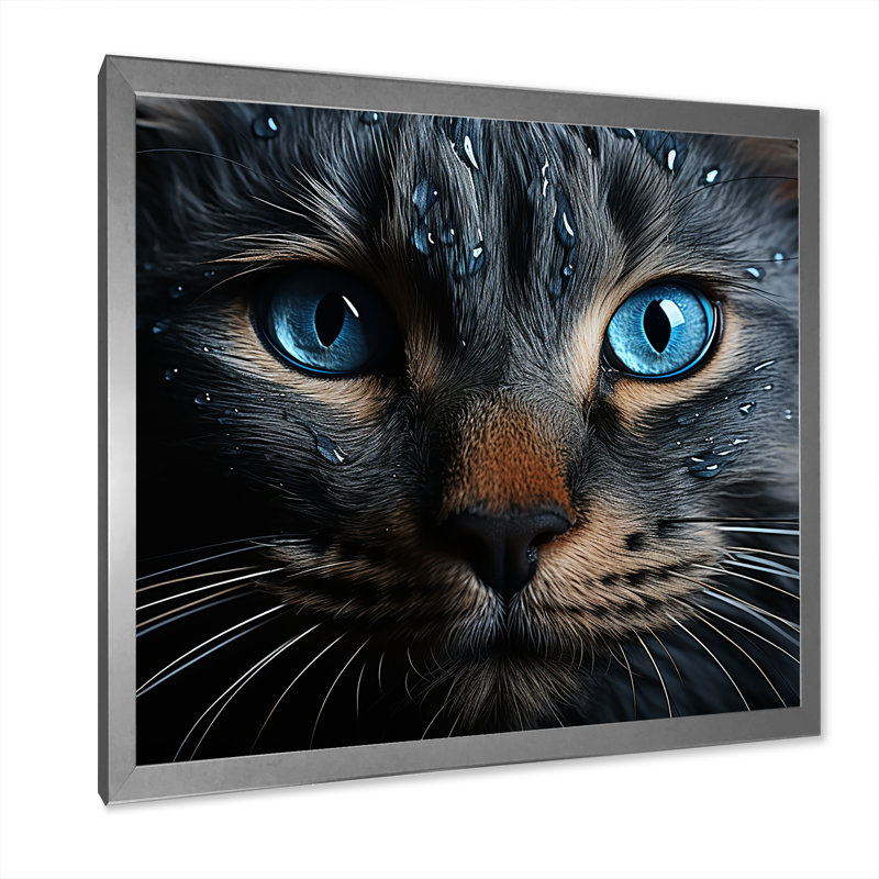 Chat, yeux bleus, chat, H 16 po x l 16 po x P 1 po, Cadre simple argenté