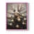 Rose est en rupture de stock