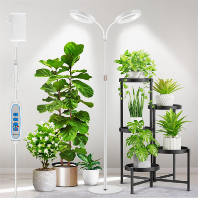 Naomi Grow Light