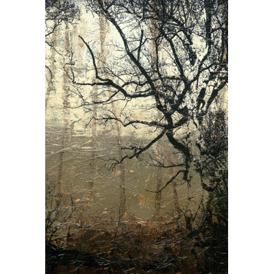 Wooded Solace III - Wrapped Canvas Painting