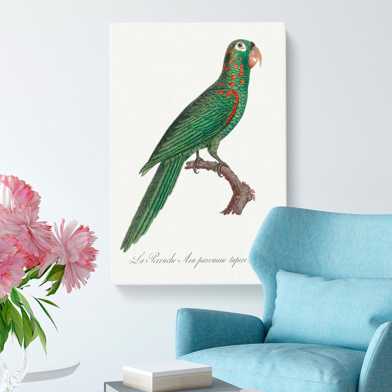 Amazon Parrot by F. Levaillant - Wrapped Canvas Print, 60cm H x 40cm W x 3cm D