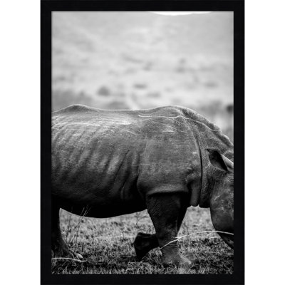 Pepperidge "Black Rhino" Print