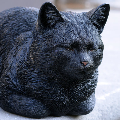 Chat tigré noir au repos