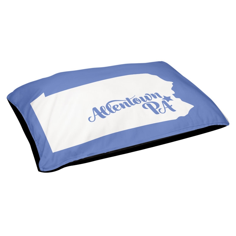 Coussin stylisé allentown de pennsylvanie, Grand (L 40 po x l 50 po), Bleu