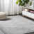 Light Gray selected