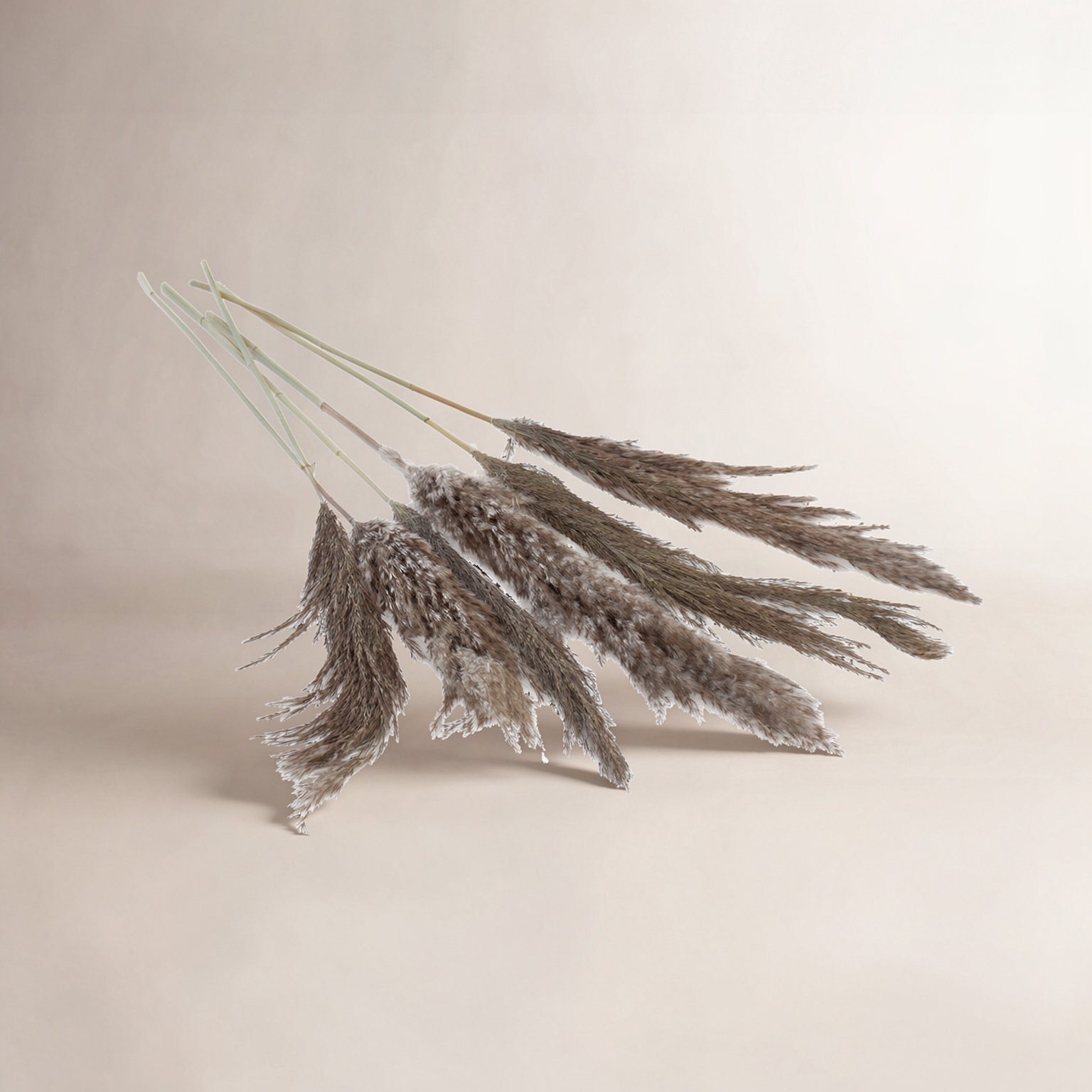 Mixed Assortment Stems, Gray