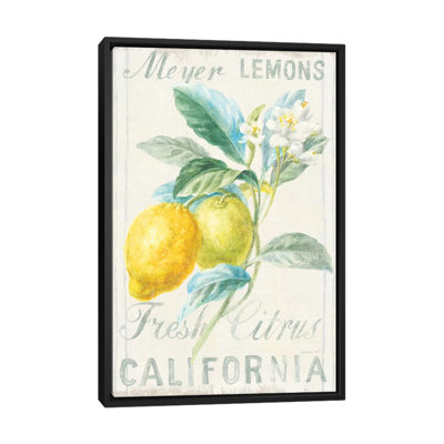 «Floursack Lemon II», reproduction sur toile tendue