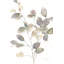 Branche transparente par Danhui Nai - peinture-1689221756-1689221731-1725667330