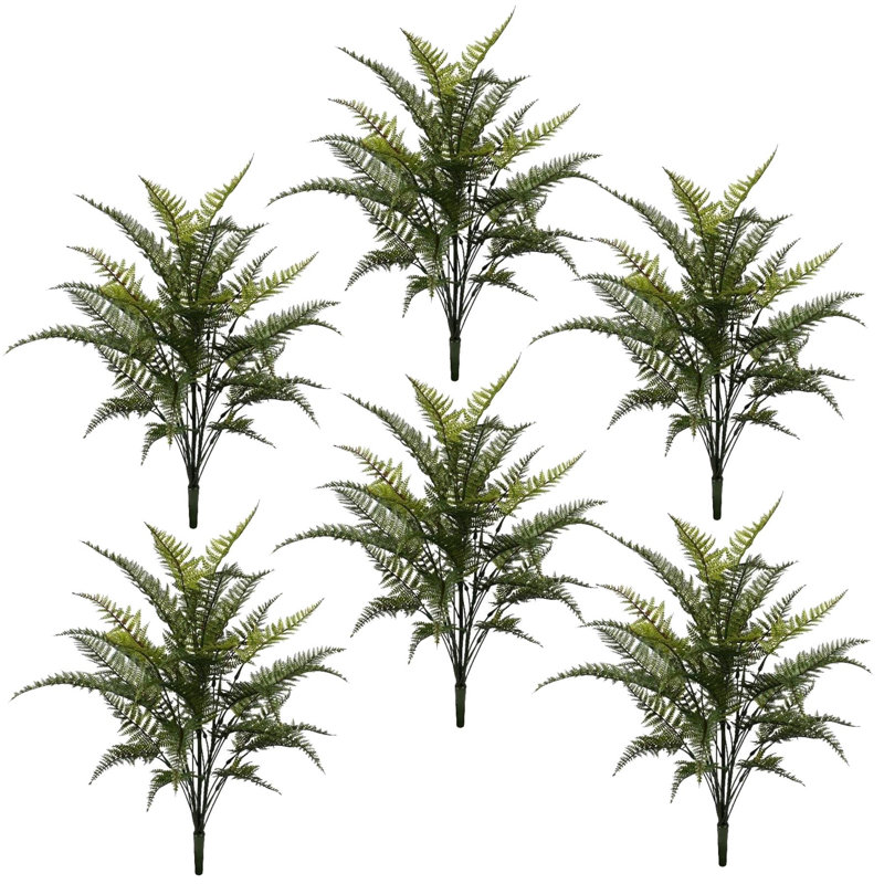 Annelies Arrangement