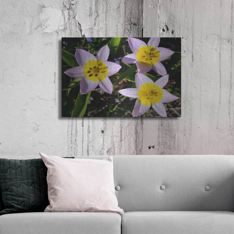 Winston Porter «Flowers Iii» par Epic Portfolio, art mural en métal, H 24 po x l 36 po
