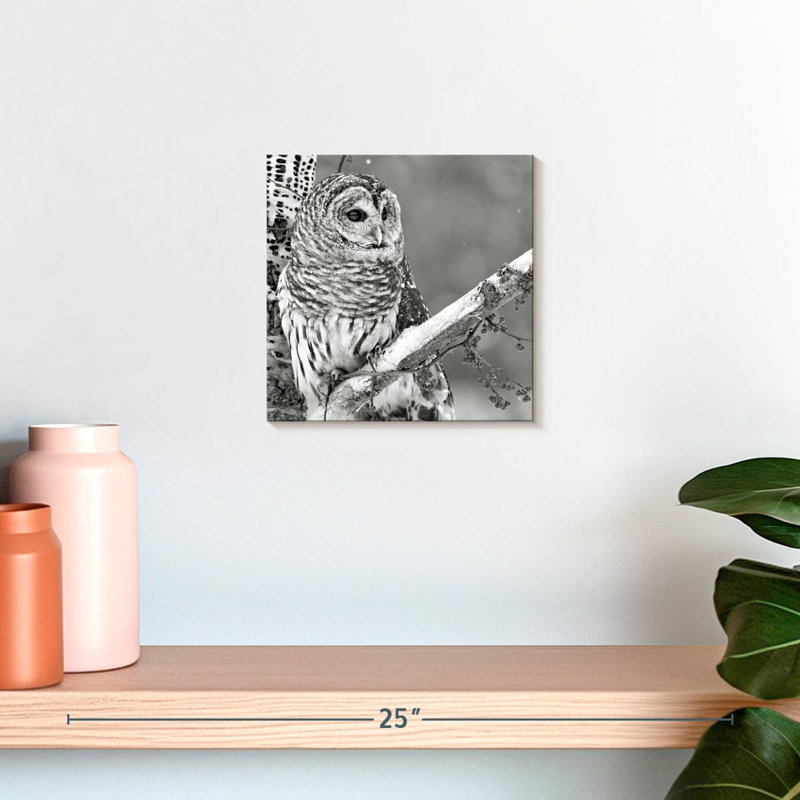 Brampt White Owl BW, 10" H x 10" W