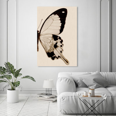 " Animals Sepia Butterfly II Insects "