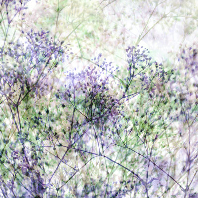 Charlotte par Lisa Argyropoulos - reproduction d'art sur toile tendue