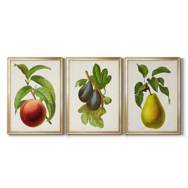 Antique Fruit V - Toile tendue avec châssis sur mesure - 3 pièces, H 21 po x l 30 po, Doré
