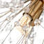 Dandelion 8-Light Sputnik Starburst Ceiling Light Crystal Flush Mount-1343553025