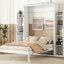 Full Size Murphy Bed With Shelves And LED Lights For Space-Saving And Multi-Function Use-446715602