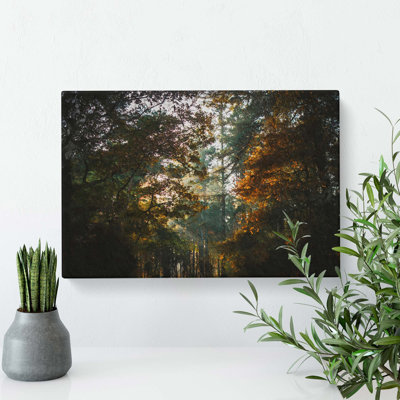 A Magical Forest - Wrapped Canvas