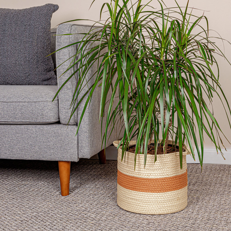 Household Essentials Cardboard/Paper Basket