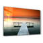 Decorative Tempered Glass Painting