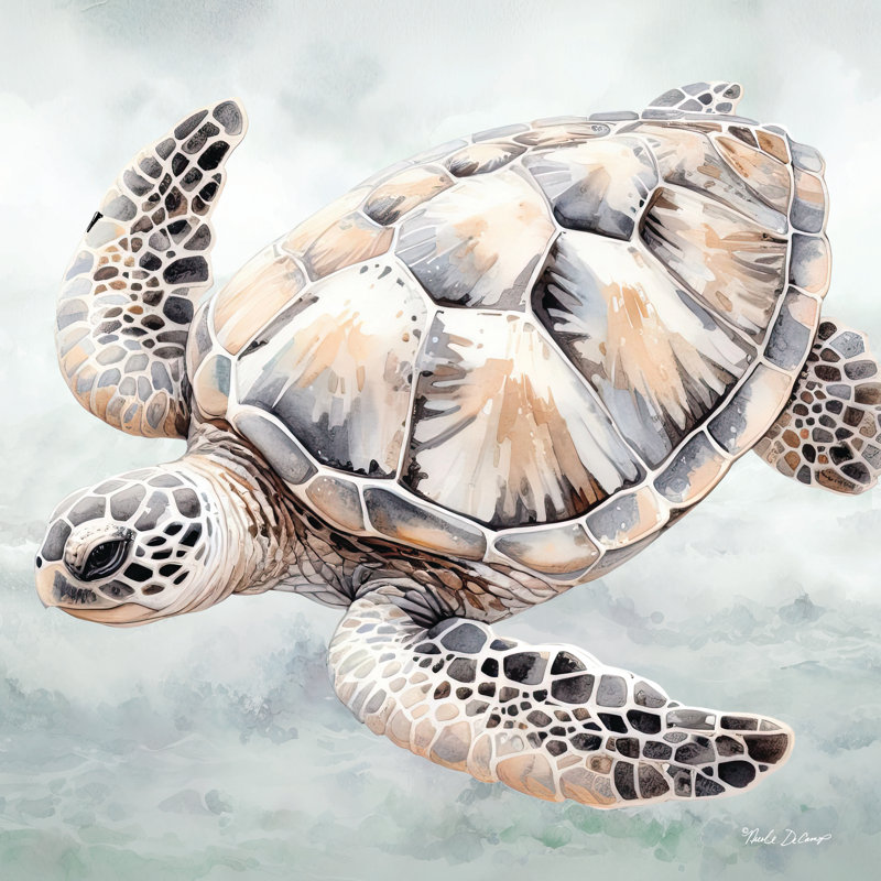 Cape Cod Turtle, 30" H x 30" W