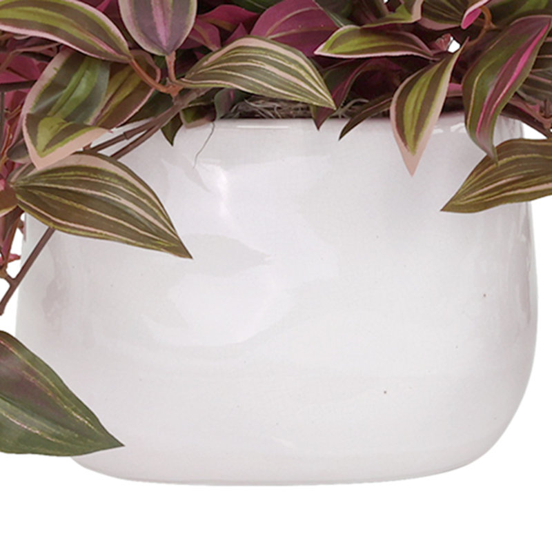 Tradescantia Zebrina Arranged In Ceramic Vase, Green/Red, 14"H x 26"W x 17"D