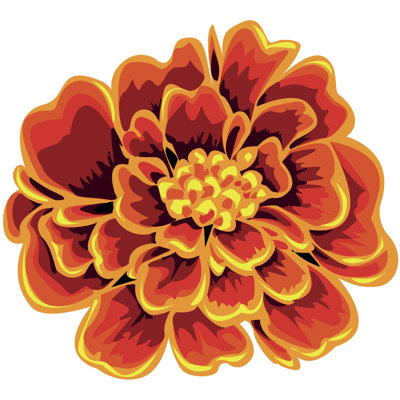 Adairis, souci orange sur toile