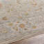 Don Oriental Indoor Rug-925328643