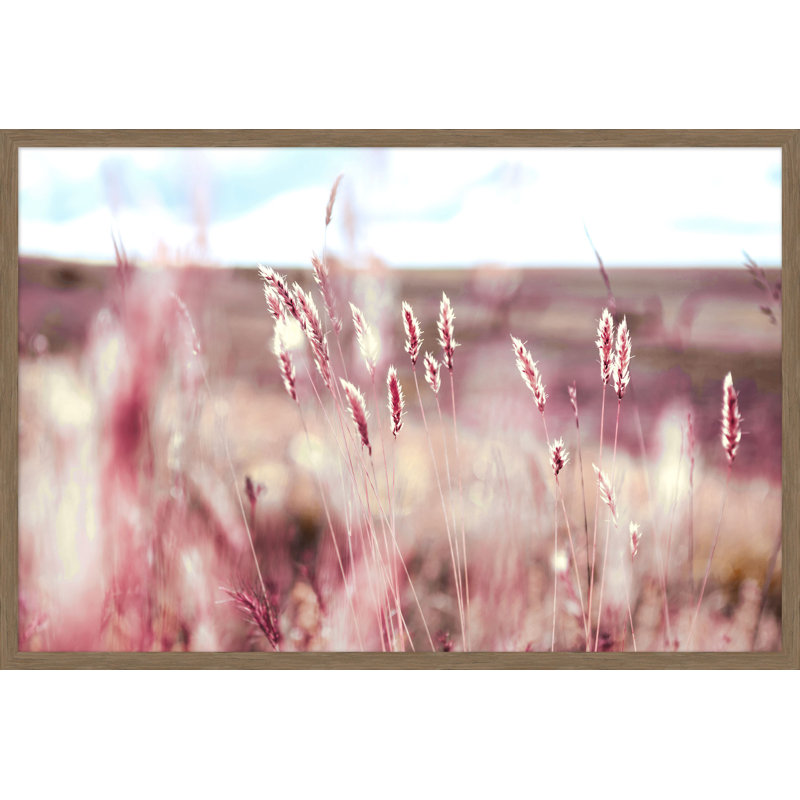 Buble Gum Field Print by Mat Sanders