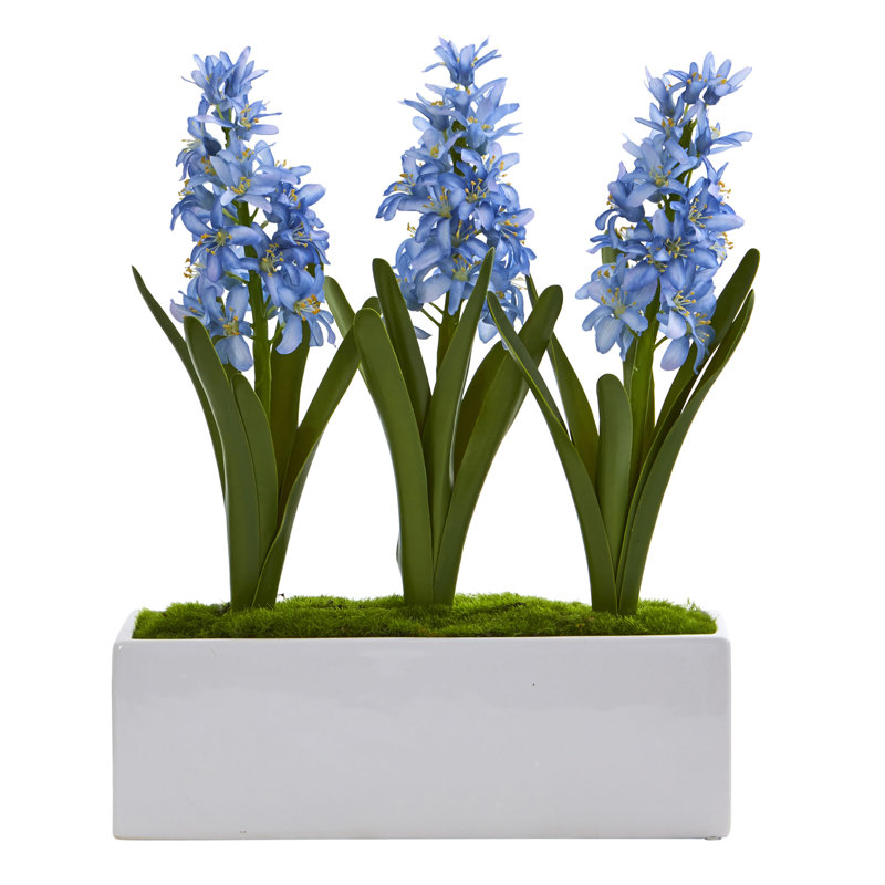 Arrangement floral jacinthe dans un vase