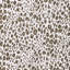 Leopardos-407389384