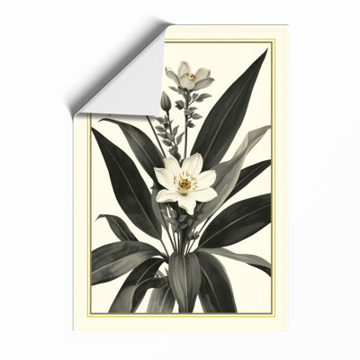Flowering Plant Study Botanical - Print