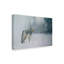 «Coyote In Snow» par Etelca, impression sur toile tendue-27645087