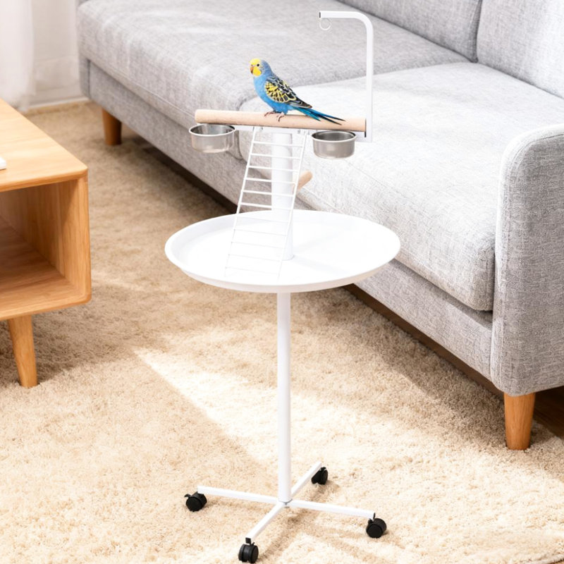One-of-a-Kind Bird for