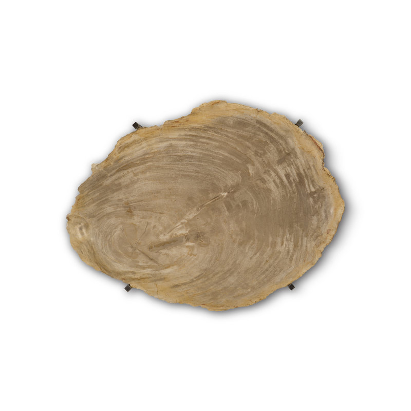 Petrified Wood Serving Tray