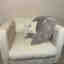 Customer photo 3 of 3