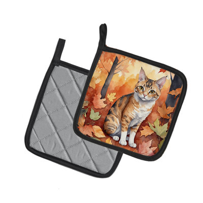Paire de poignées pour chat Oregon Rex