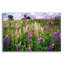 «Spring Blooms In Maine» par Rick Berk, art mural en verre acrylique-1893610888