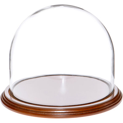 Jenett 8" x 6.5" Glass Display Dome Cloche